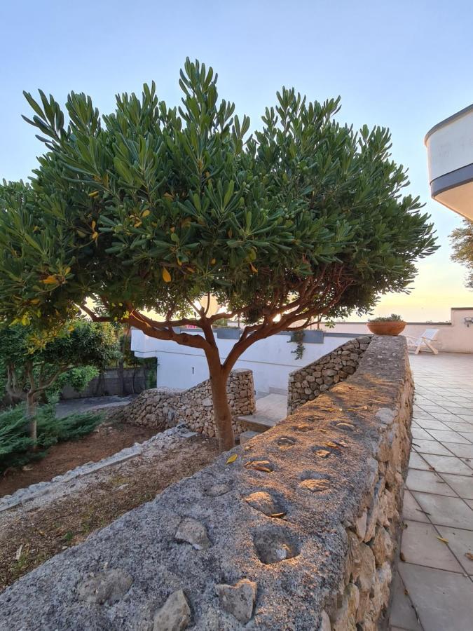 Villa Panoramica Sunset House Torre Vado Ngoại thất bức ảnh