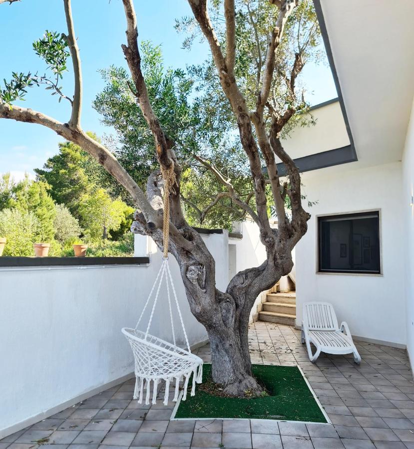 Villa Panoramica Sunset House Torre Vado Ngoại thất bức ảnh